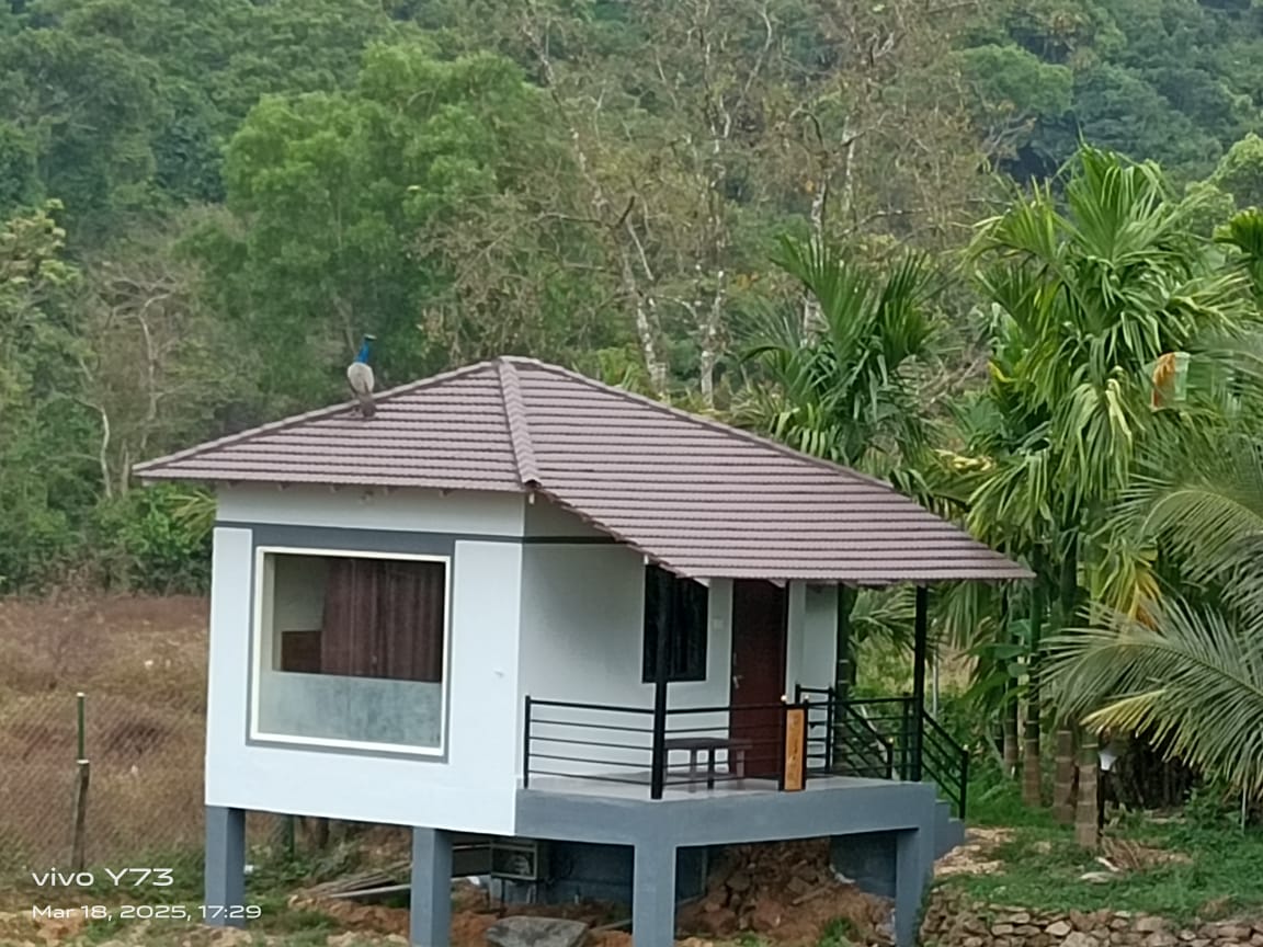 images/Jolly-Homestay